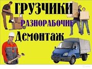 Разнорабочие, грузчики , уборка территории  , вывоз мусора, покос Одеса 